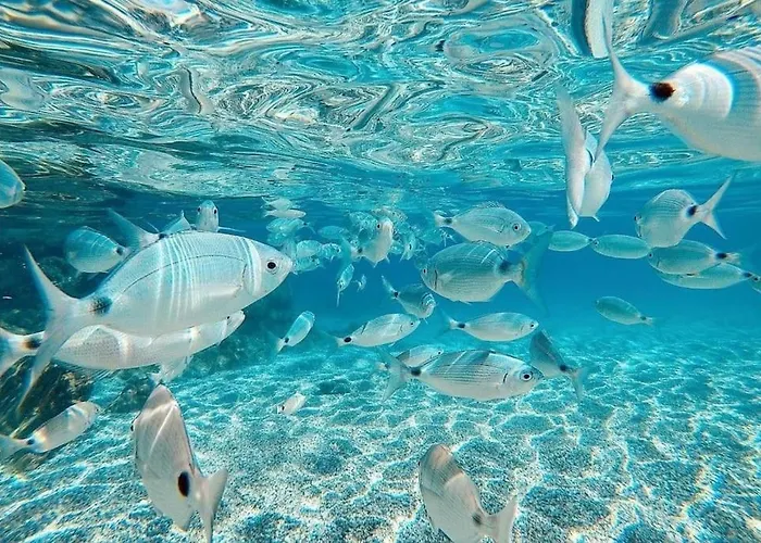 El Playaiso De Aguamarga